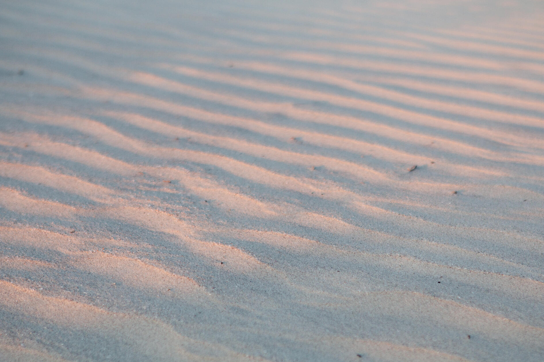 textures