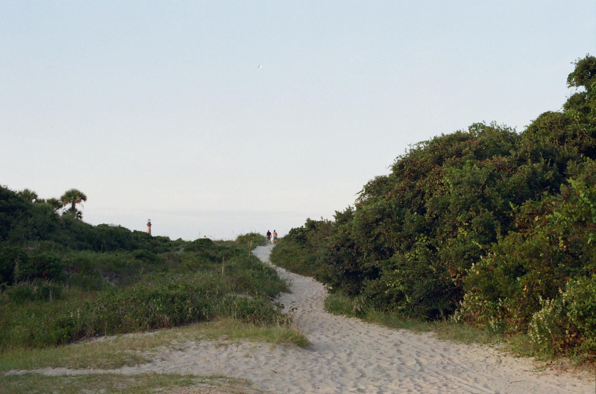 folly beach